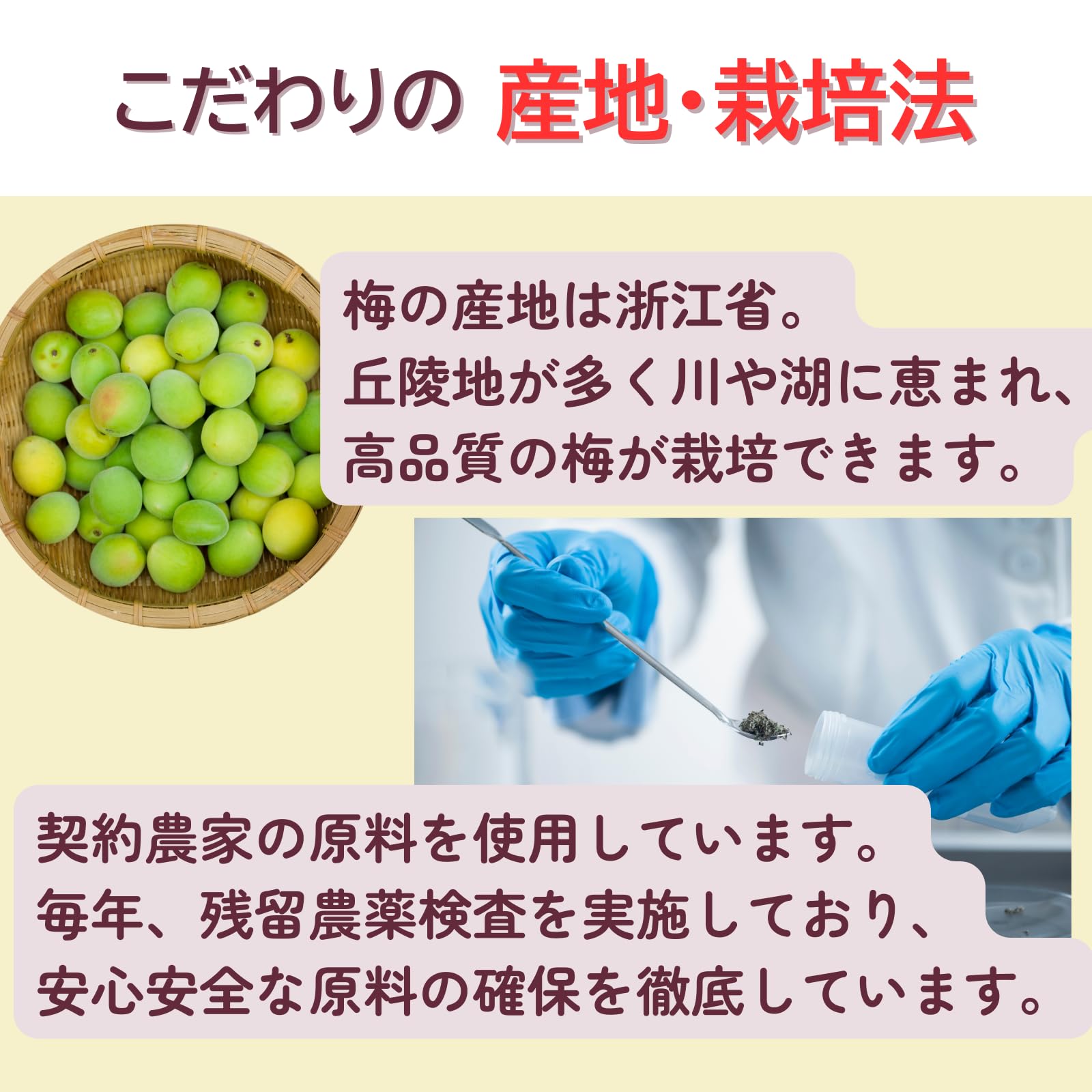 Amazon | 【栄養士セレクト】 カリカリ梅 ポット 180g 8個セット HACCP